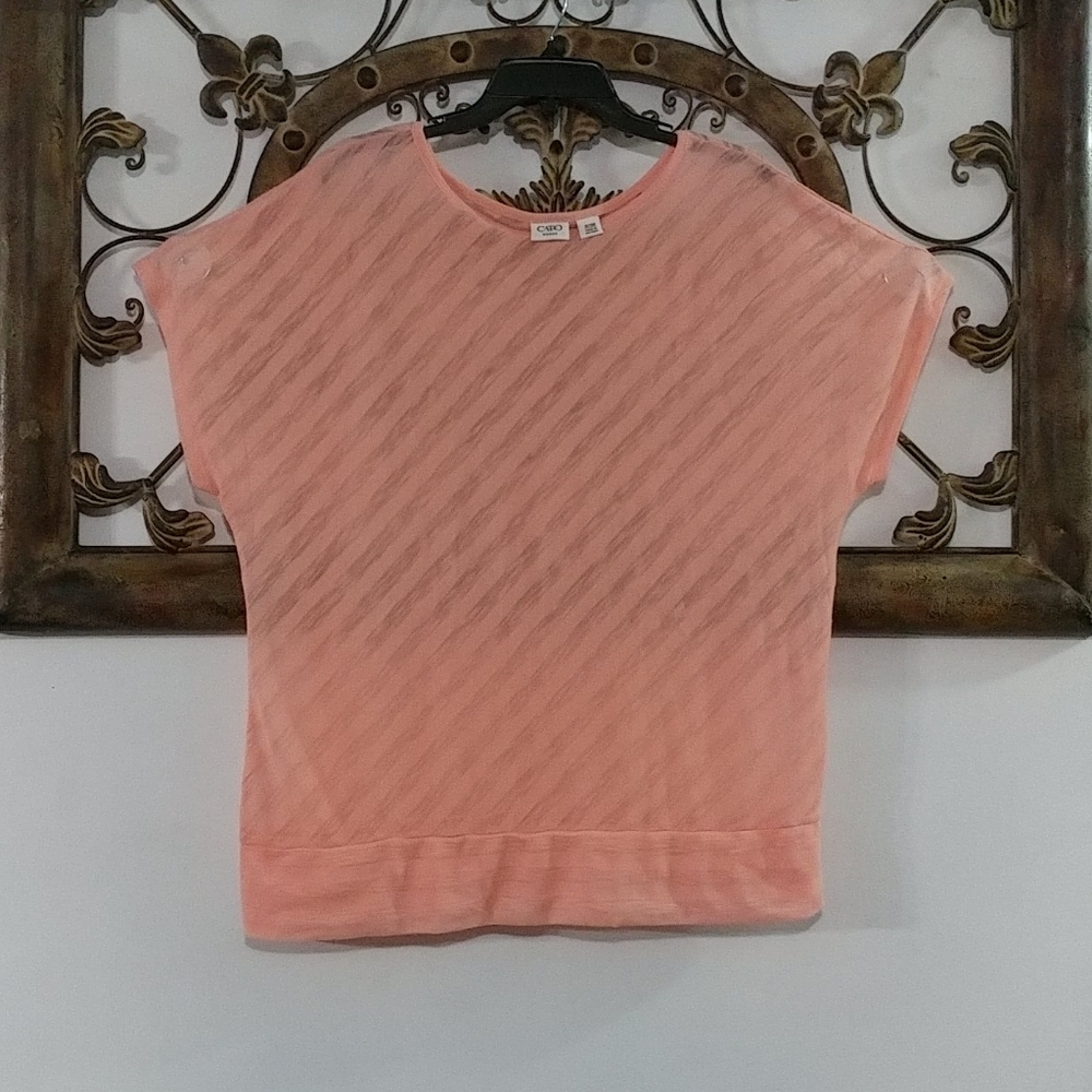 Women Cato Plus Size Top